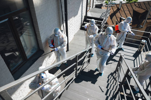 Best Asbestos and Lead Testing During Mold Inspection  in Point Pleasant, WV