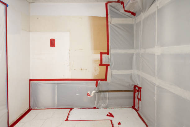 Point Pleasant, WV Mold Removal Company