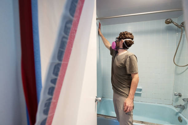 Best Emergency Mold Remediation  in Point Pleasant, WV