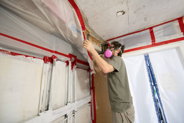 Best Water Damage & Mold Remediation  in Point Pleasant, WV