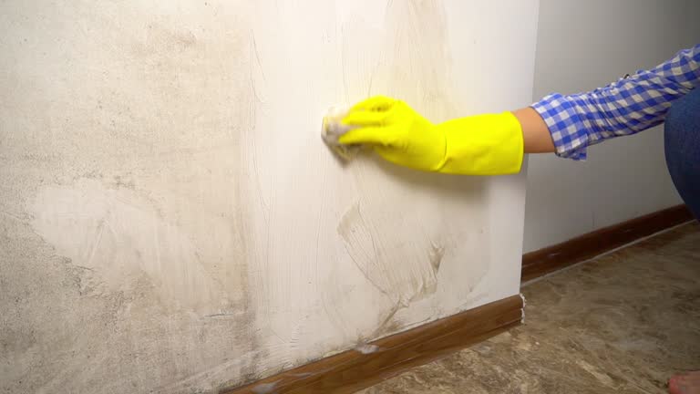 Best Air Quality Testing for Mold Spores  in Point Pleasant, WV