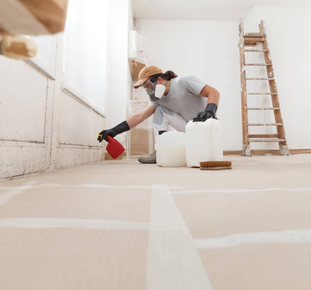 Best Comprehensive Air Testing for Mold Contaminants  in Point Pleasant, WV