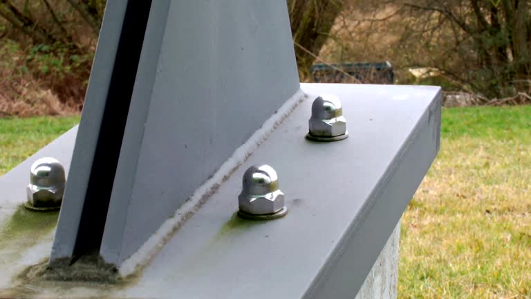 Best Commercial Mold Inspection  in Point Pleasant, WV